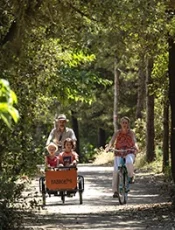 family cycling through the forest in pays de saint jean de monts