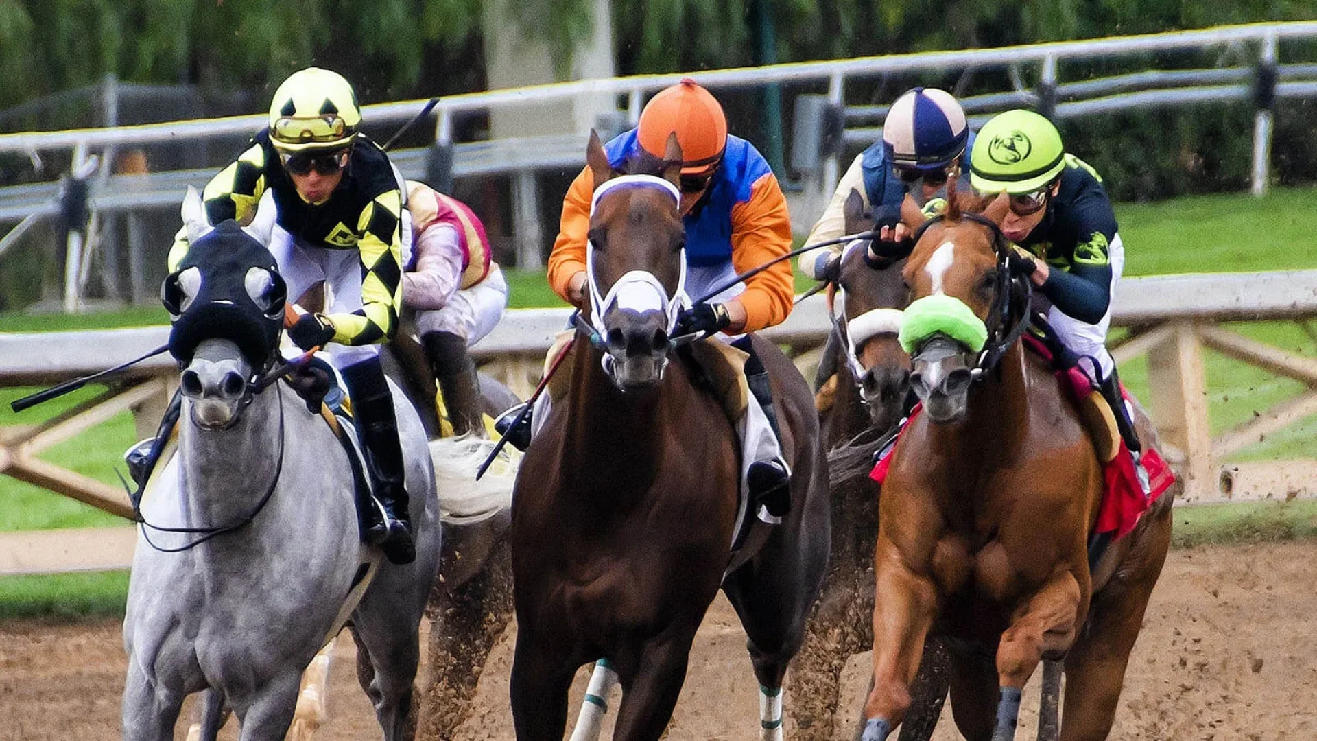 Horse race in a racecourse in Saint Jean de Monts, in Vendée