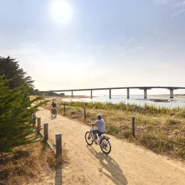 take a bike ride near the noirmoutier bridge, in pays de saint jean de monts