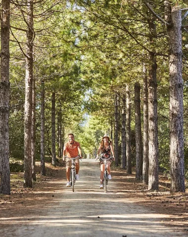 A couple cycling in the forest in the Pays de Saint Jean de Monts