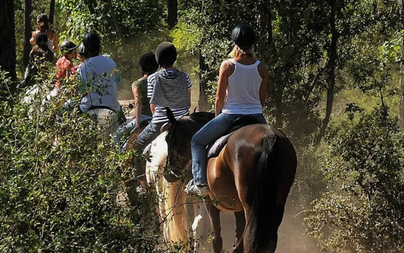 Riding in the forest in pays de saint jean de monts