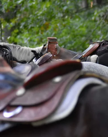 Saddle in a riding centre