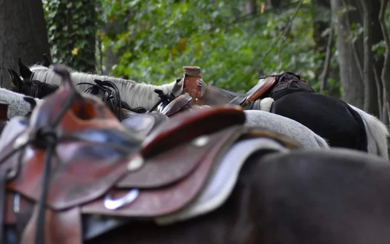 Saddle in a riding centre