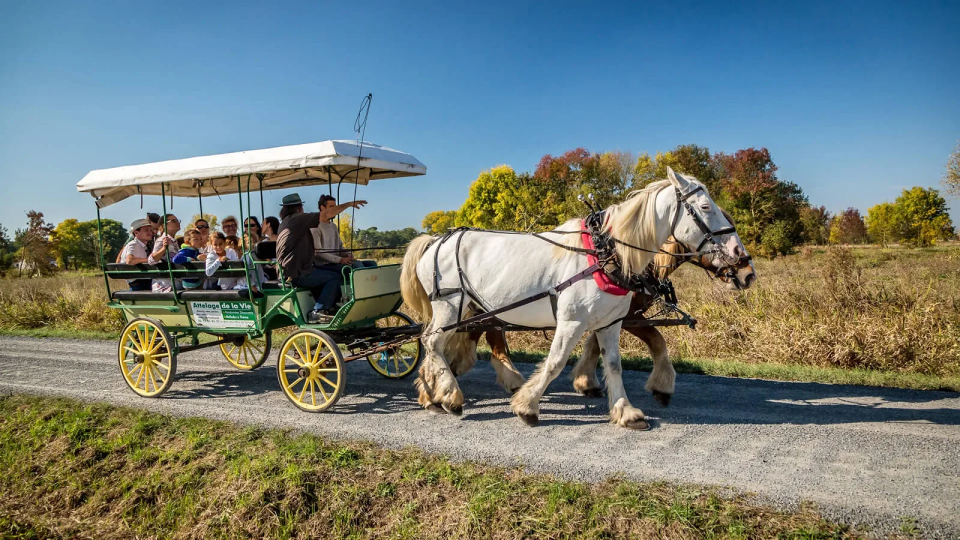 Carriage rides with Déambul in the Pays de Saint Jean de Monts