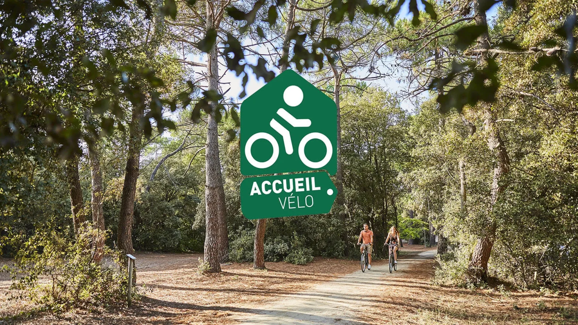 Accueil Vélo logo on a forest image in the Pays de Saint Jean de Monts