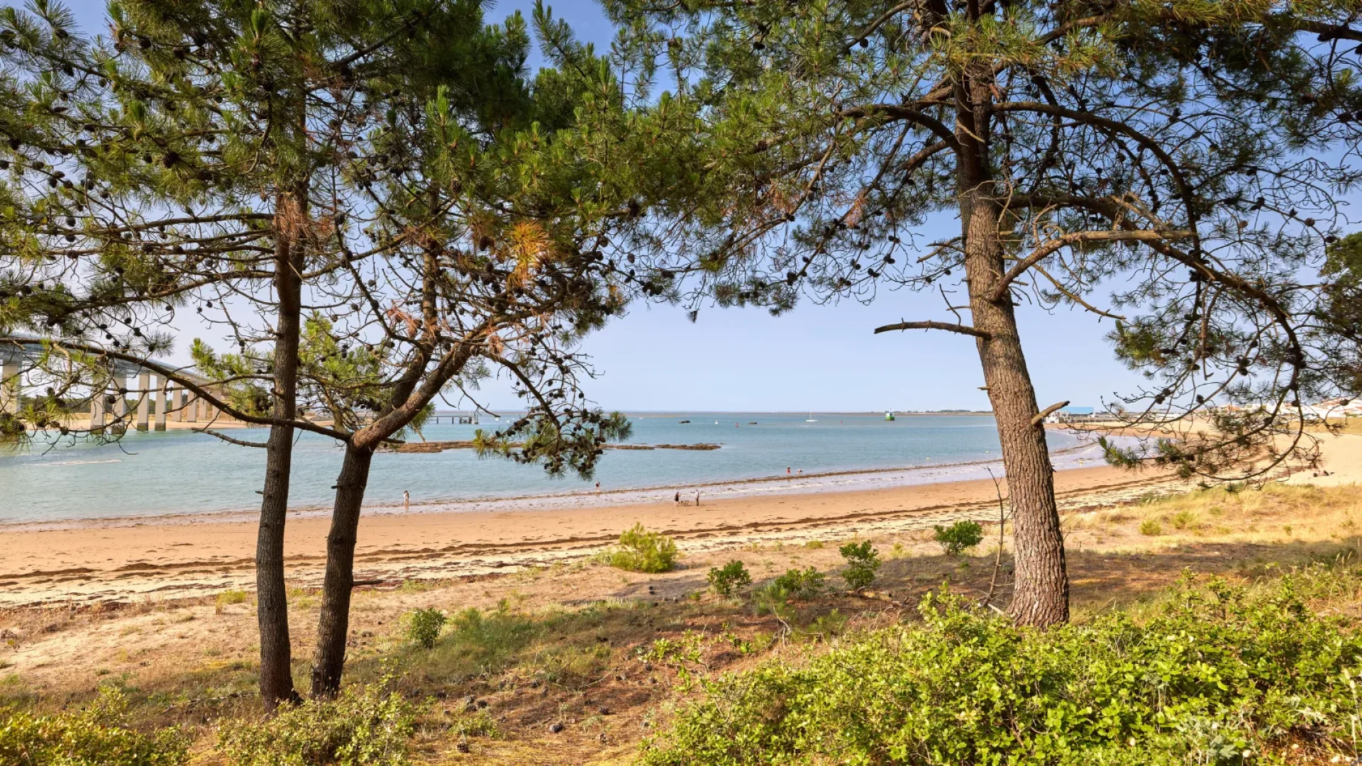 View of the wild part of Fromentine beach at la barre de monts - fromentine