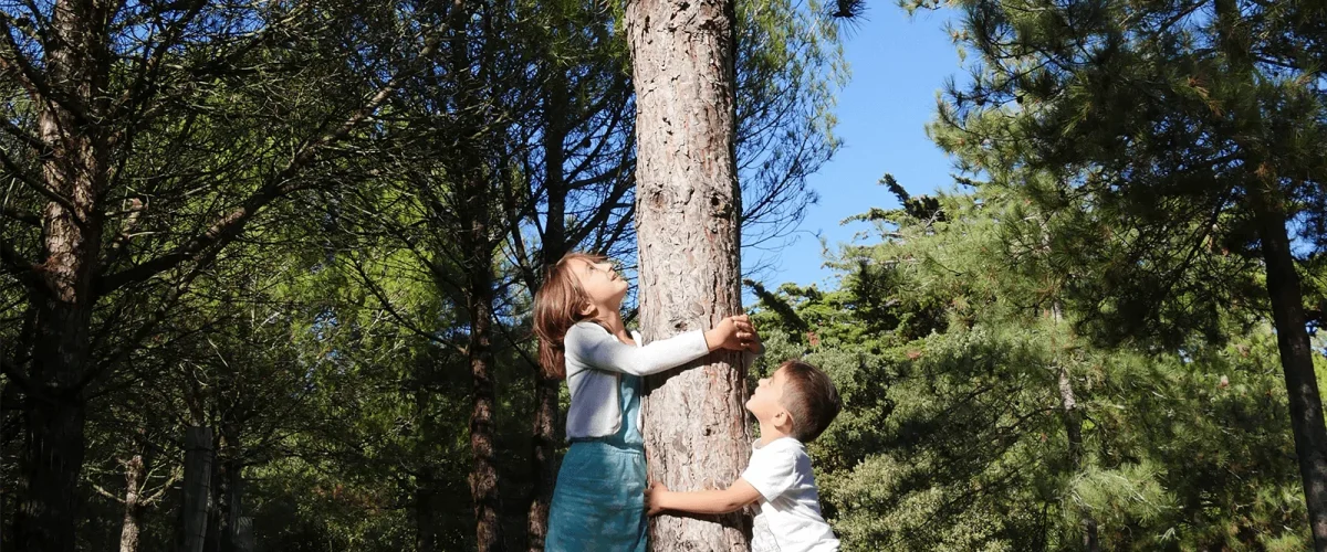 children hugging a tree during the fun walk 