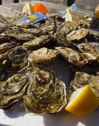 oysters in pays de saint jean de monts
