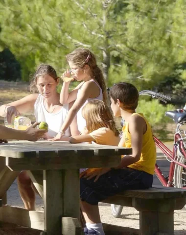 family having a good time in a picnic area in vendée