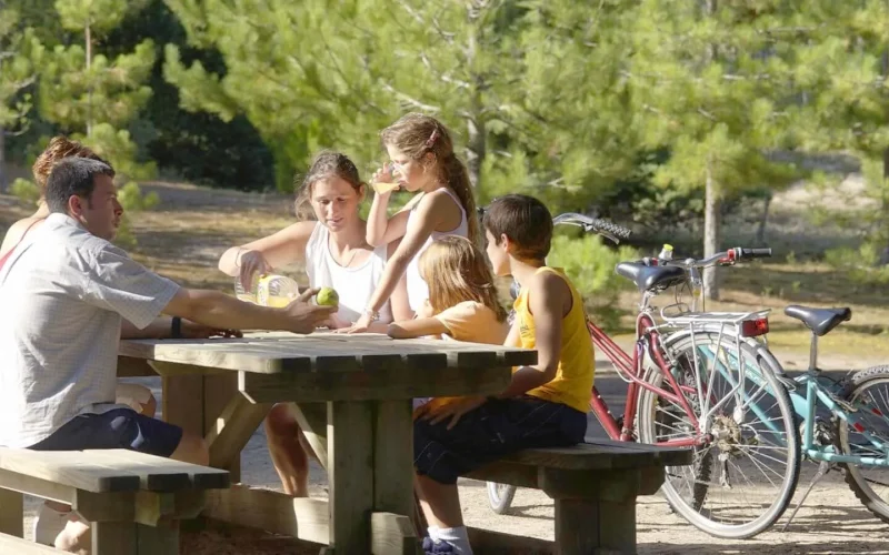 family having a good time in a picnic area in vendée