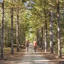 couple on bikes in forest in pays de saint jean de monts