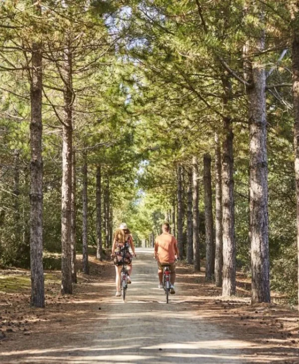 couple on bikes in forest in pays de saint jean de monts