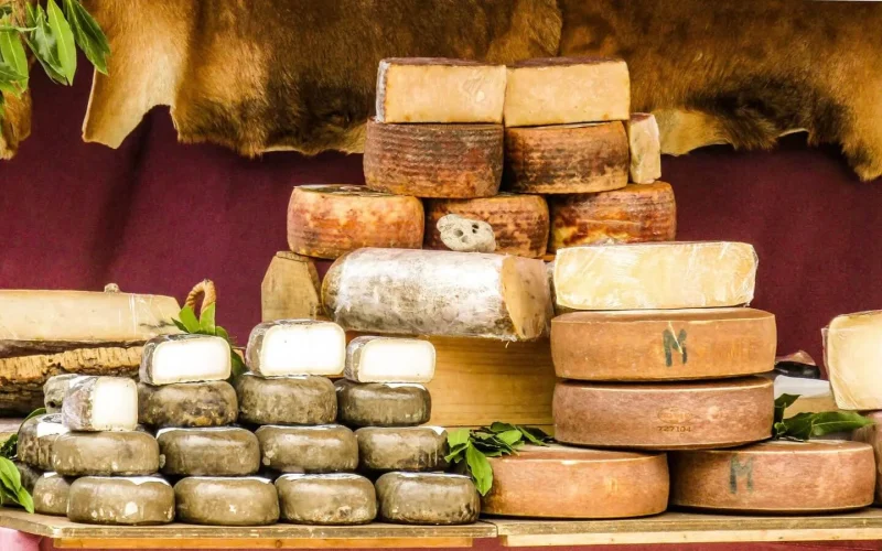 Cheeses in a cheese shop at a local producer in vendée