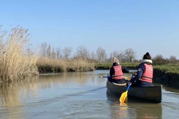 canoe along the marshes in pays de saint jean de monts
