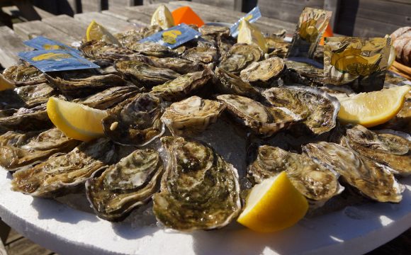 oysters-eating-degustation-in-vendee