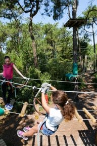 Treetop adventure course